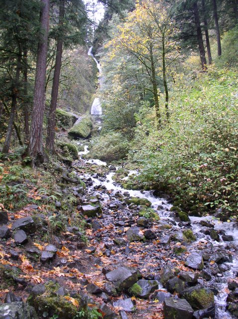 10.28.05 Devil's Rest 011 